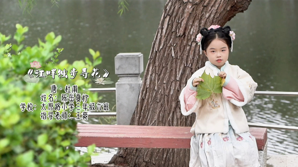 齐鲁晚报菏泽最美朗读者——陈岳夏柠