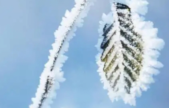 秋去冬来万物藏，立冬节气点赞特效上线