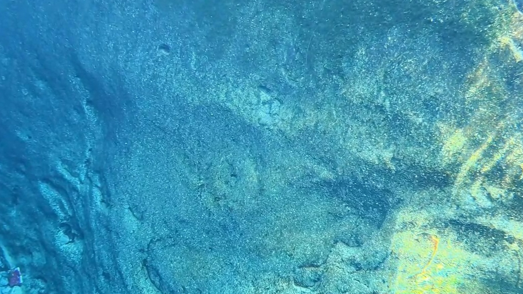 【视听山东】秋色入画来，碧水野鸭共绘生态画卷