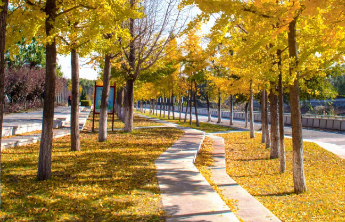 双语论语 Bilingual Analects of Confucius|子罕9.8