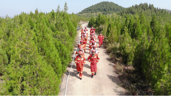 青山为证——致敬青州73.4万亩青山的绿色守护者