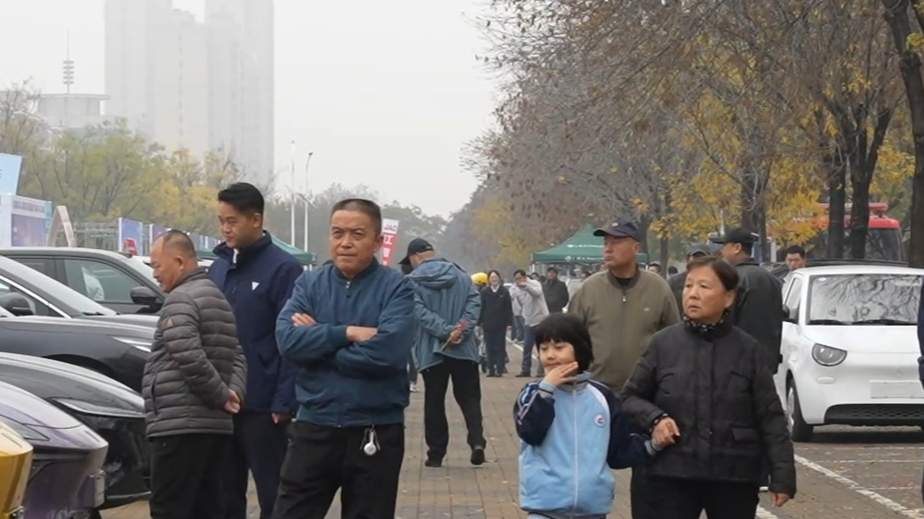 2025山东新能源汽车下乡活动聊城临清站火爆开展