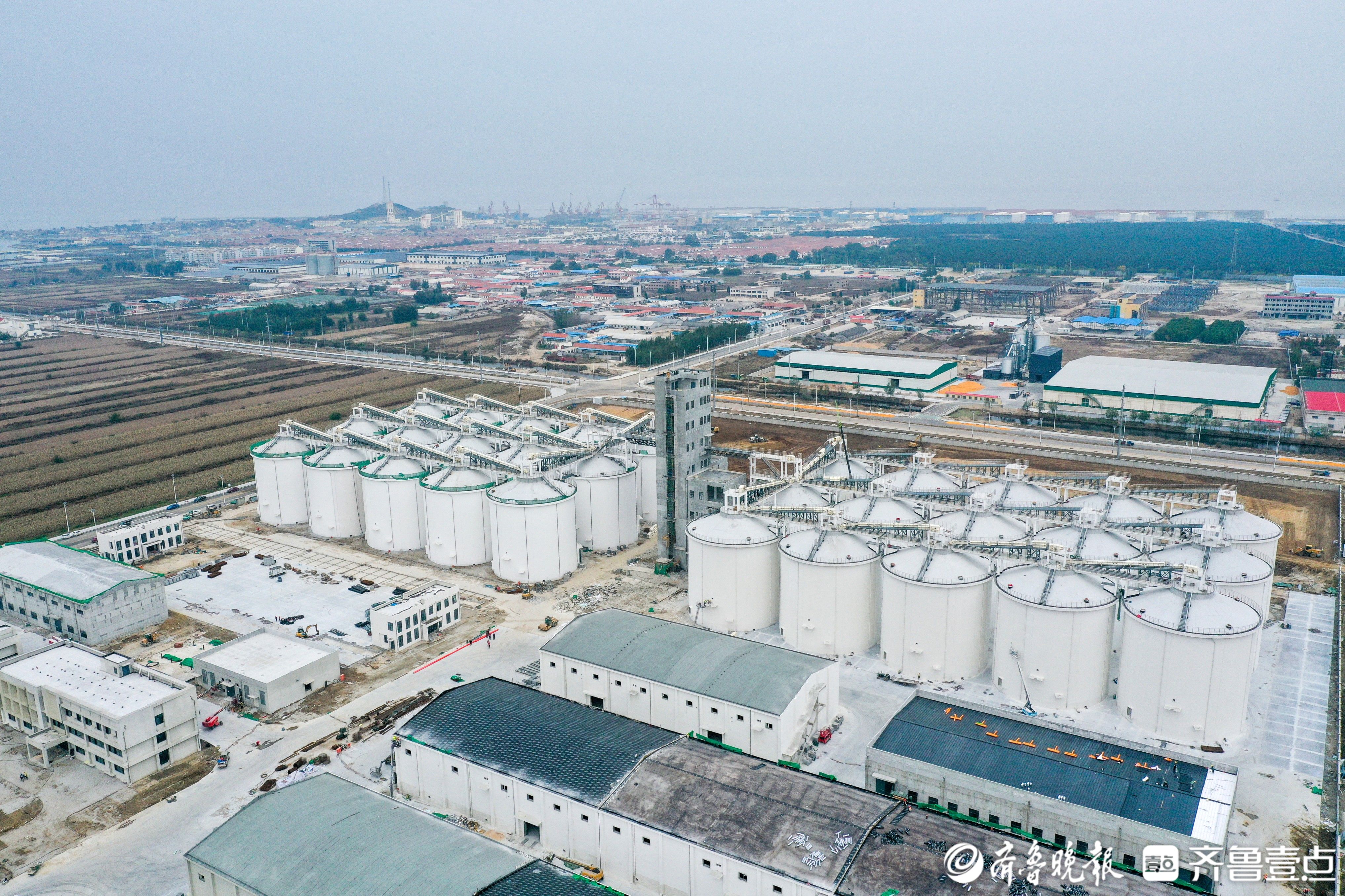 莱州“北翼”振翅！三山岛重大项目集群点燃发展新引擎