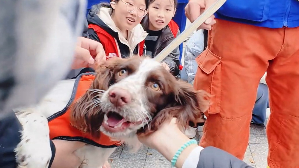 果然视频|潍坊市消防救援犬开放日首秀引市民围观