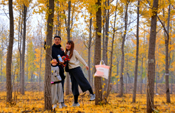 壹点日历11.10|周一你好！过好今天，胜于一百个空想的明天