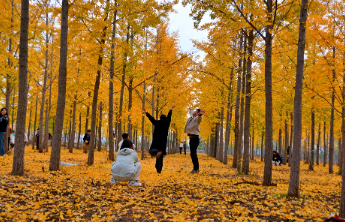 壹点日历11.11|早安！许岁月一个回眸，愿生活溢满欢喜