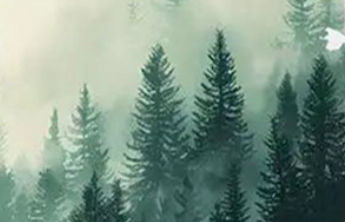 书坊｜《乌乡薄暮》：醉人的短歌