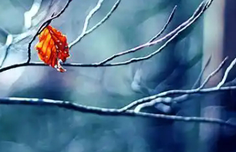 中疾控：立冬到，多吃这些食物更养生