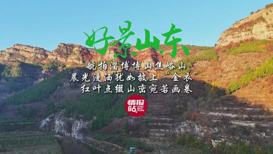 果然视频·好景山东|淄博博山焦峪山披金衣，红叶点缀山峦如画卷