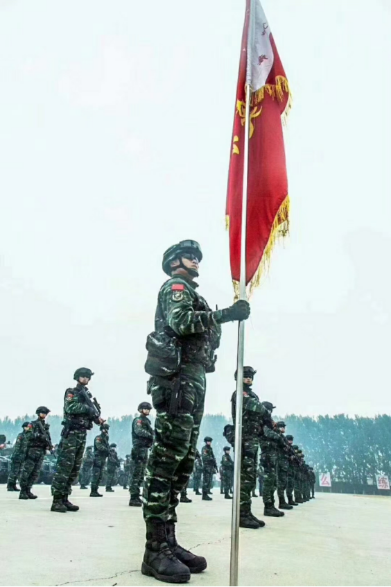 荣耀历城·榜样 | 李龙：从“雪豹”战士到基层“数字尖兵”