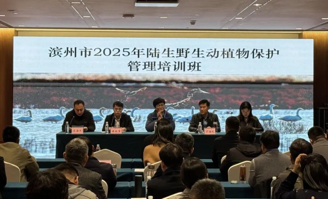 滨州市举办2025年陆生野生动植物保护管理培训班