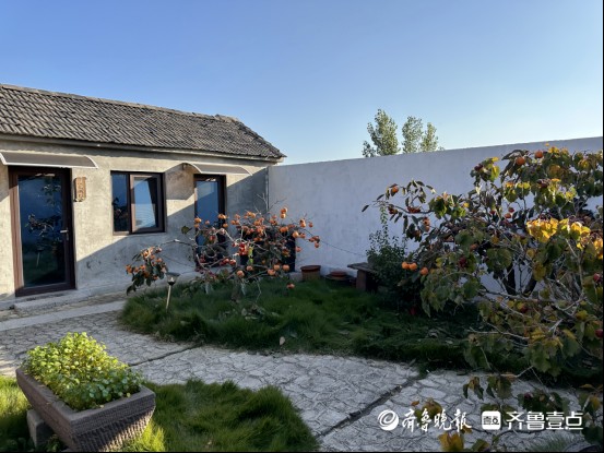 闲置老宅变网红打卡地，五莲柿子红了民宿综合体让乡村四季有玩头