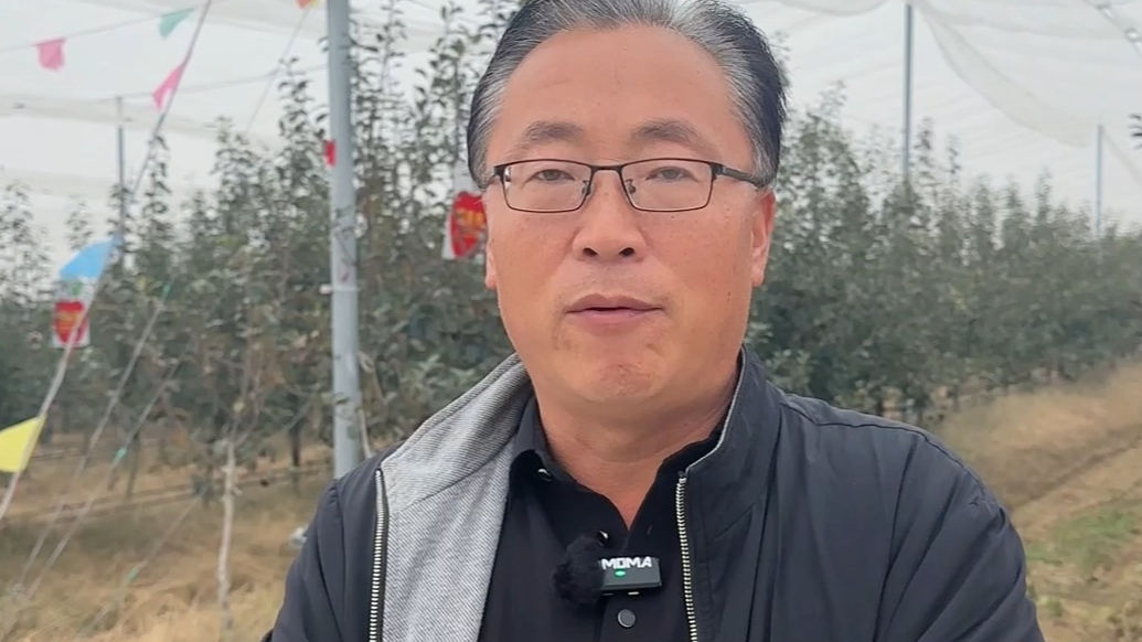 果然视频｜数智赋能，烟台现代化果园实现“一部手机”远程管理