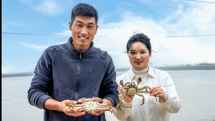 同心“蟹“力，这对微山湖夫妻让家乡蟹“游”向东南亚