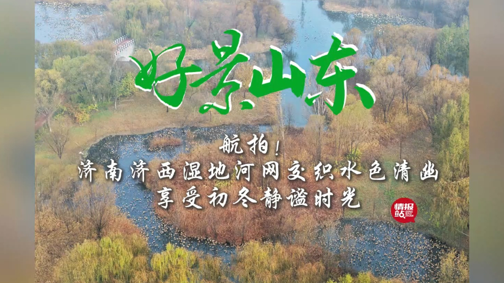 果然视频·好景山东|航拍济南济西湿地公园，河网交织水色清幽