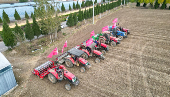 莒县供销联社：以农业社会化服务，助力秋播“加速度”