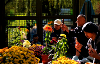 壹点日历11.12|坚持做好每一件事，让每一天都充满阳光