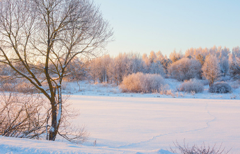 人间|冬日里的温暖