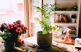 人间|快乐的小路