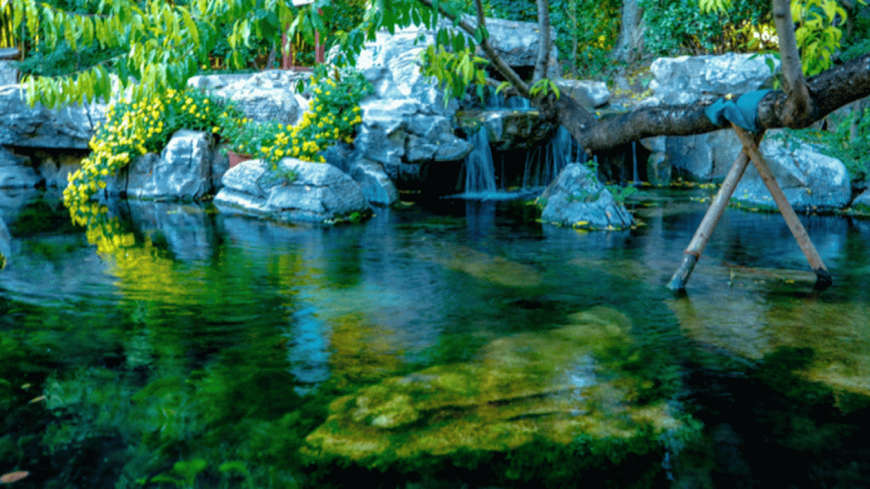 11月11日最佳情报|淄博池上镇山川如画，五龙潭公园泉清柳黄