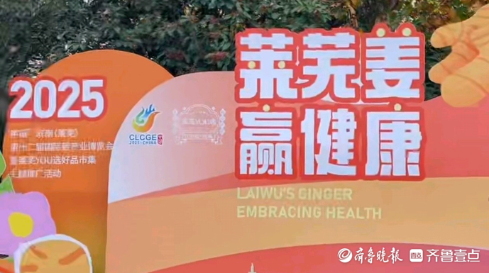 果然视频|38.75公斤“姜王”亮相大明湖畔