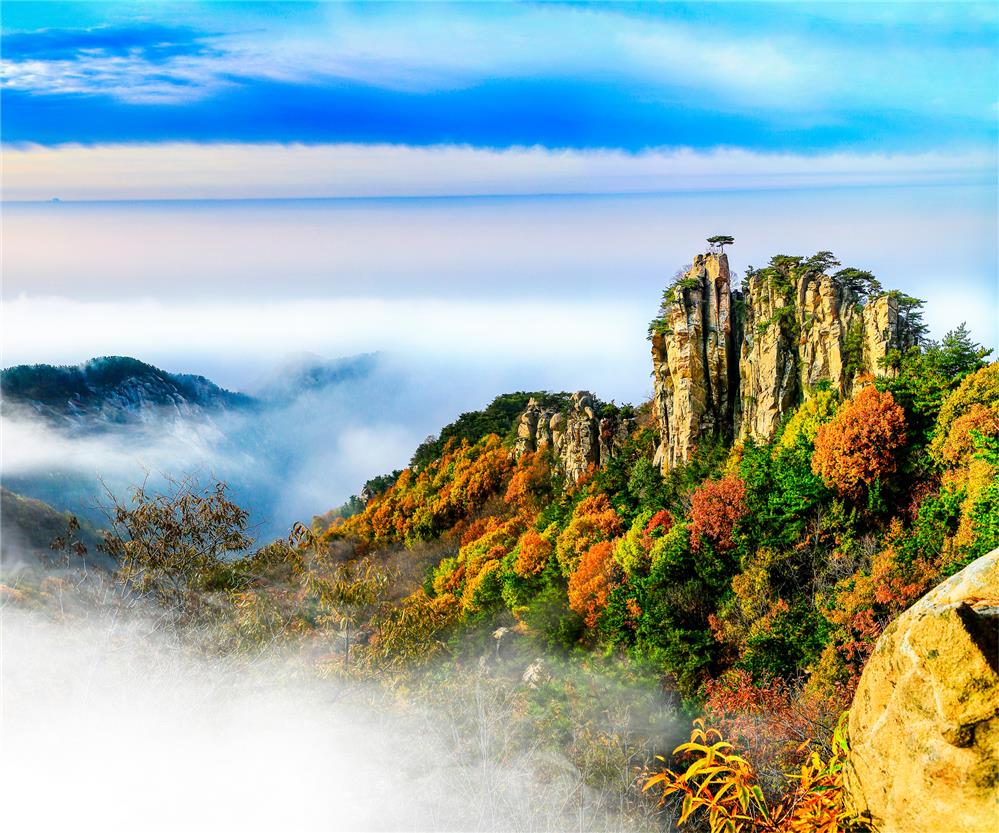 人文齐鲁|李白、杜甫到过蒙山吗？