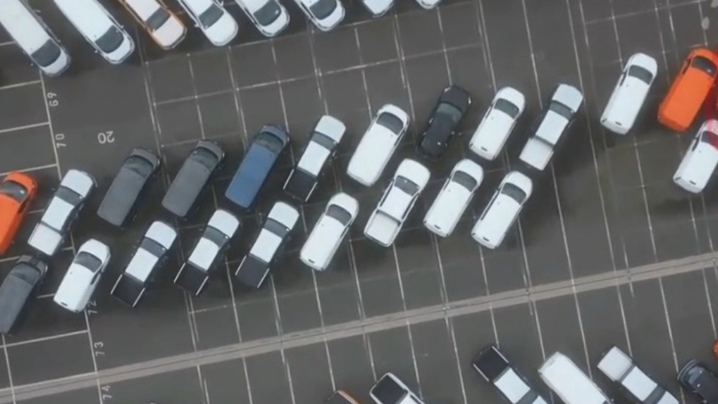 果然财经|首次超50％！新能源车已撑起新车销量半壁江山