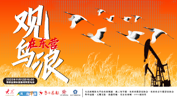 直播|在东营观鸟浪