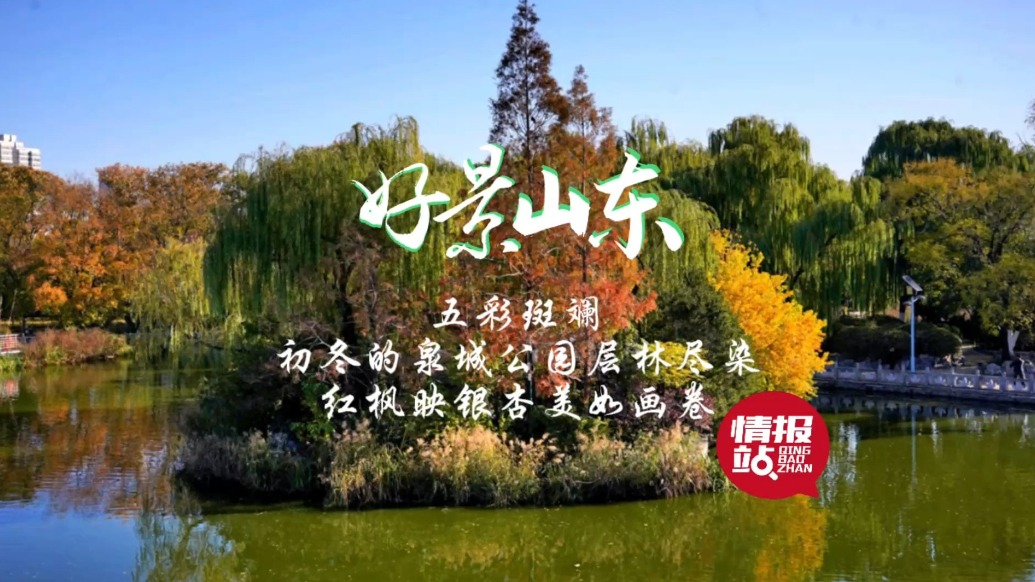 果然视频·好景山东|初冬泉城公园层林尽染，红枫映银杏美如画卷