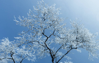 山东今冬第一场雪，要来了！