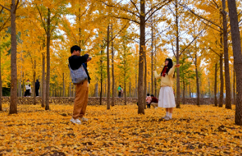 壹点日历11.13|让时光点亮梦想前路，让生命绽放最美的光彩