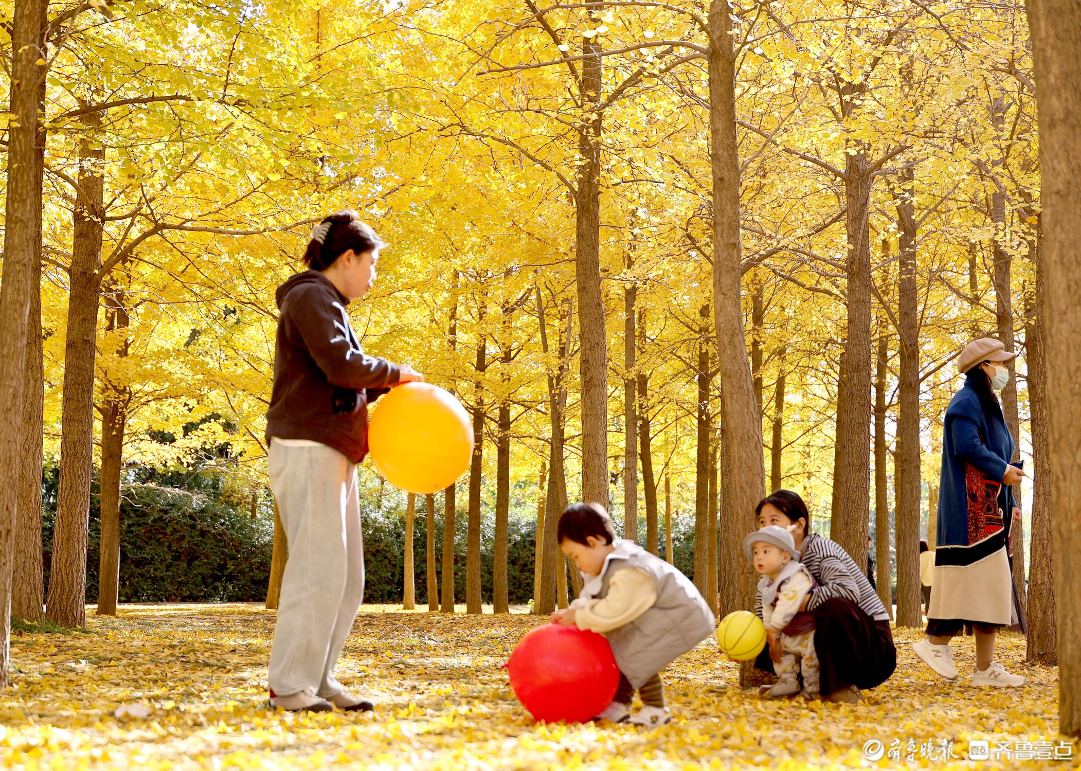 鎏金初冬，醉美蒙阴