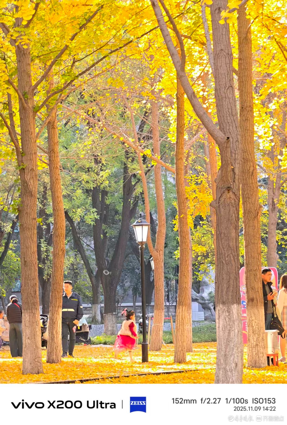 山大趵突泉校区的午后时光，我在记录