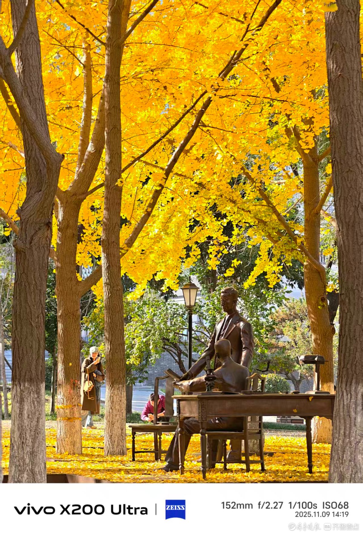 山大趵突泉校区的午后时光，我在记录