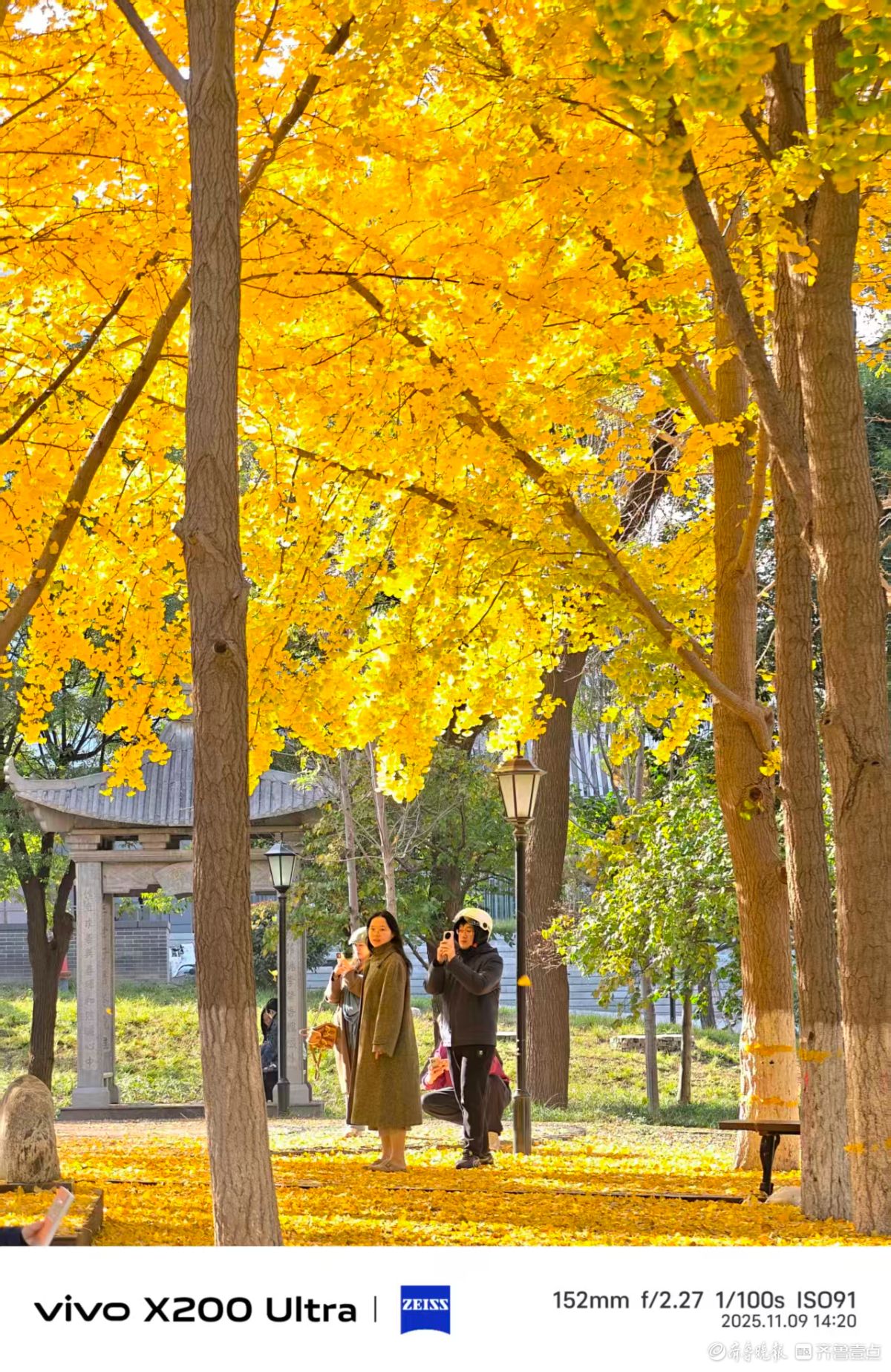 山大趵突泉校区的午后时光，我在记录