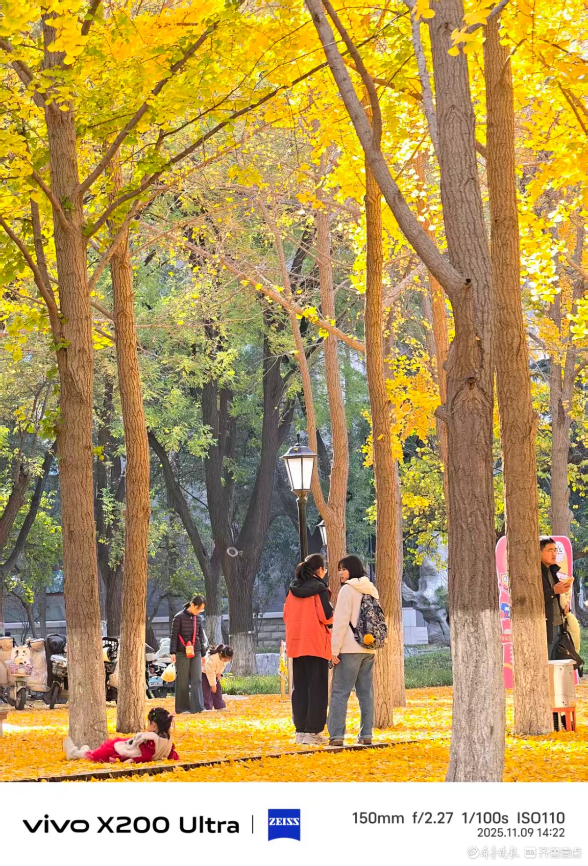 山大趵突泉校区的午后时光，我在记录