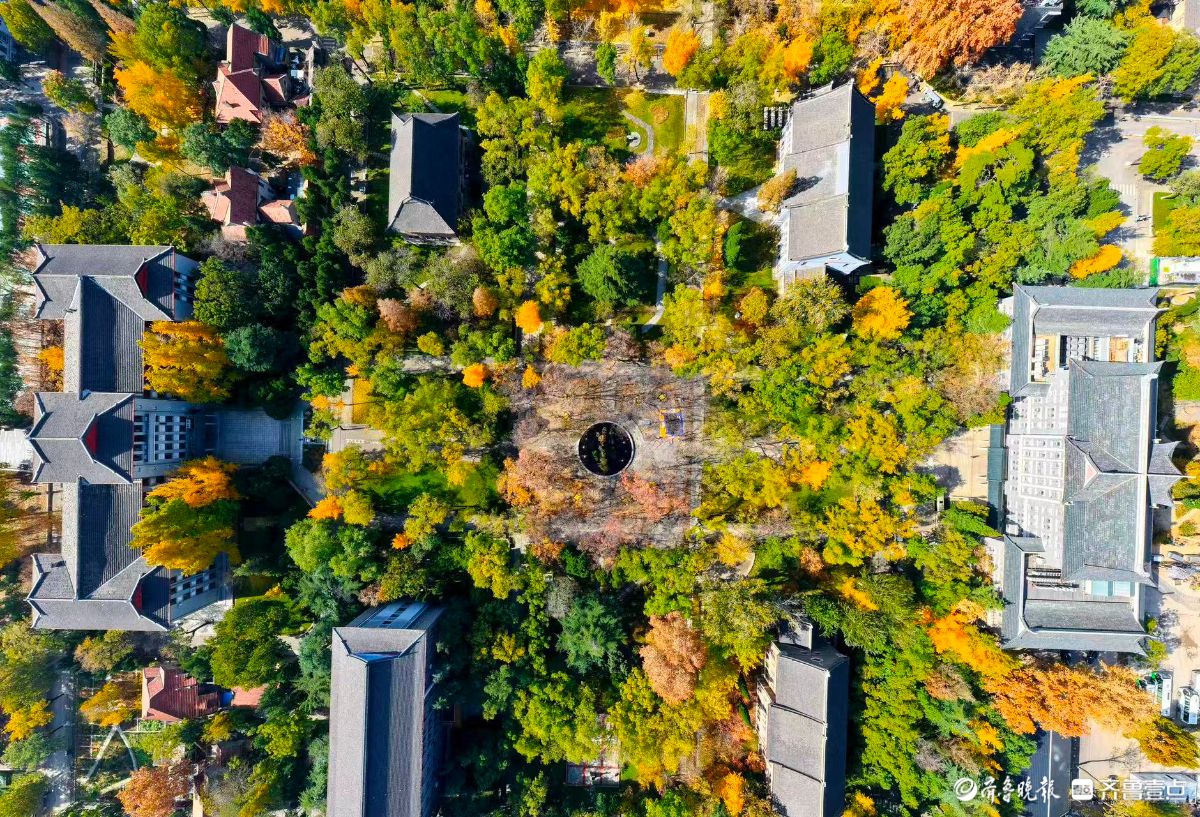 立冬时节，俯瞰山东大学趵突泉校区