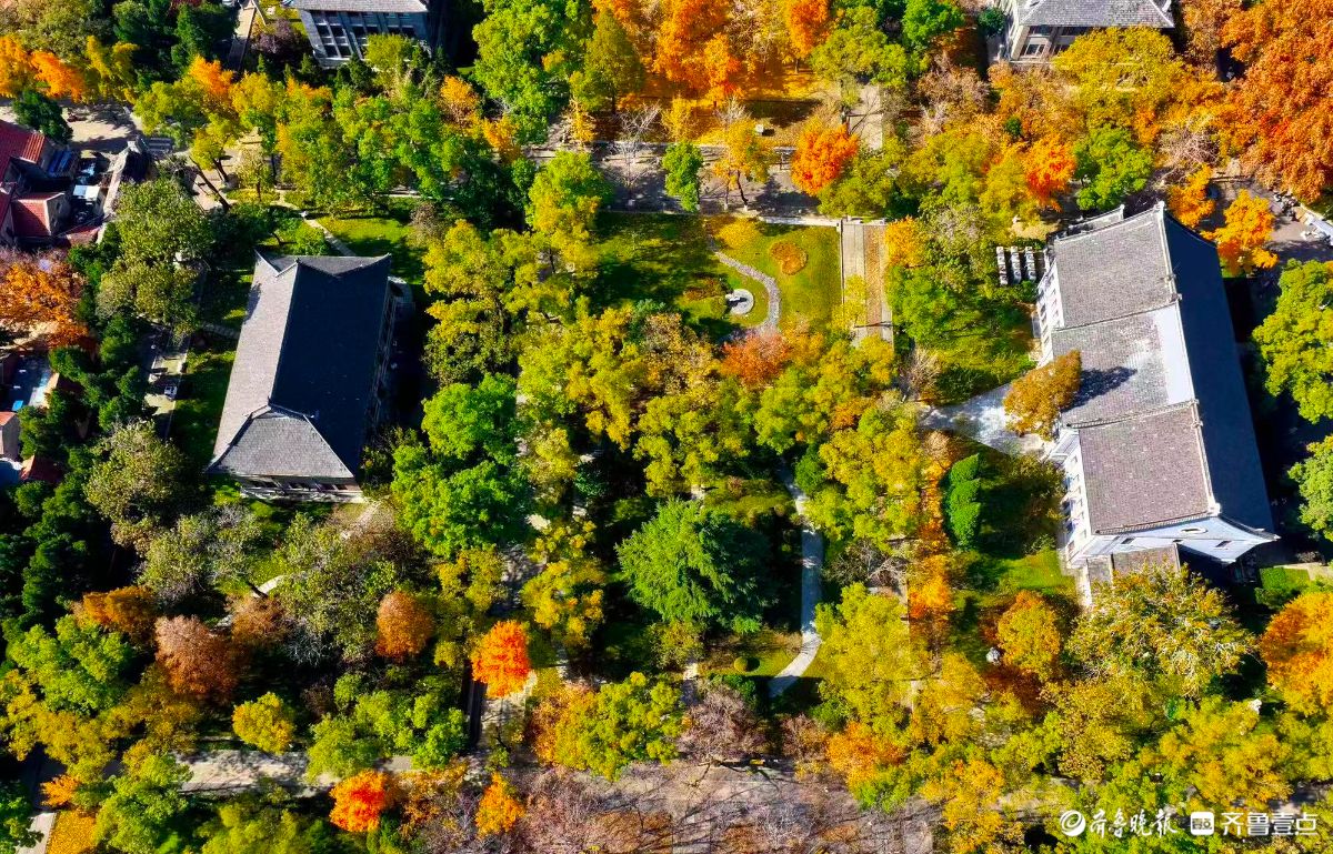 立冬时节，俯瞰山东大学趵突泉校区