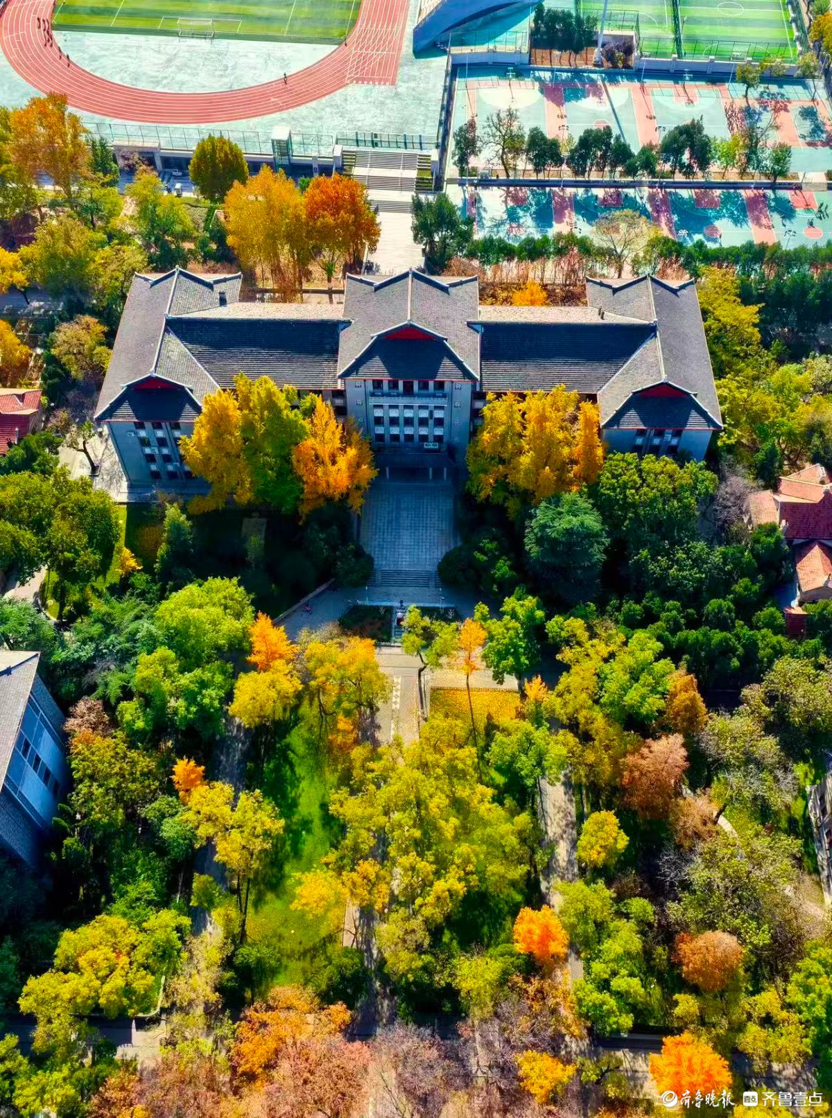 立冬时节，俯瞰山东大学趵突泉校区