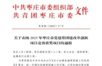 枣庄职业学院在全市党建带团建项目竞赛中获奖