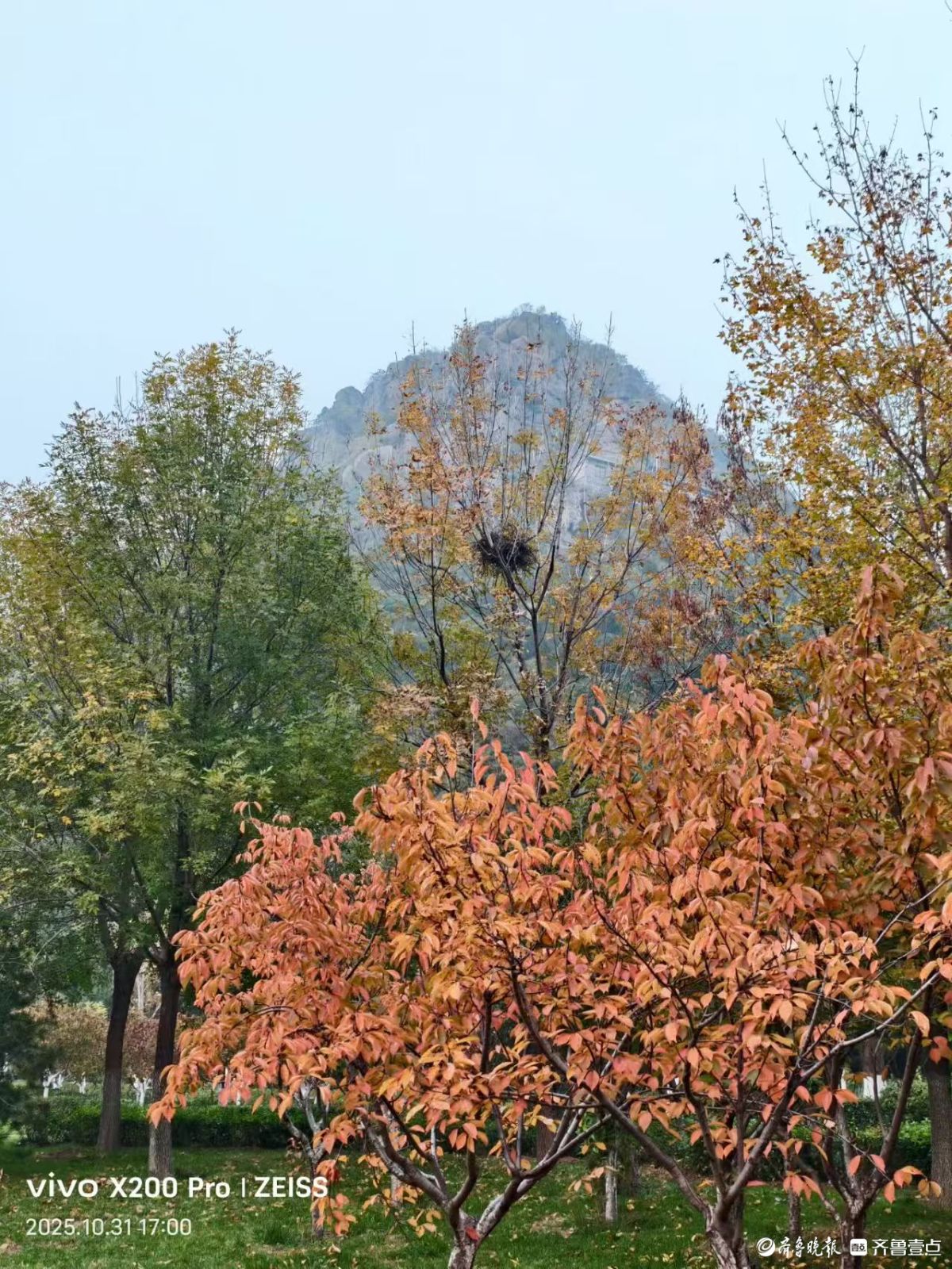 行摄华山——鹊华秋色