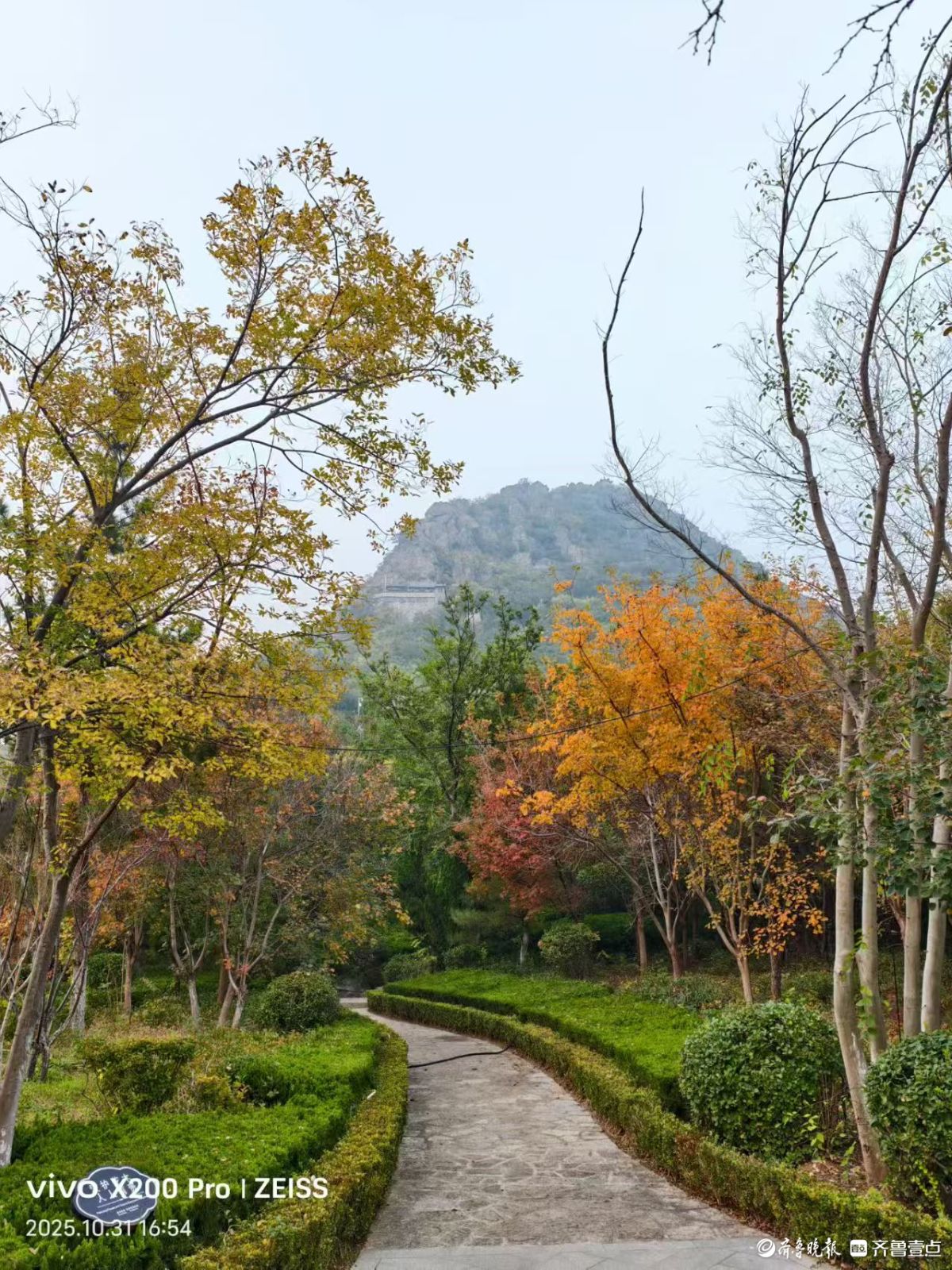 行摄华山——鹊华秋色