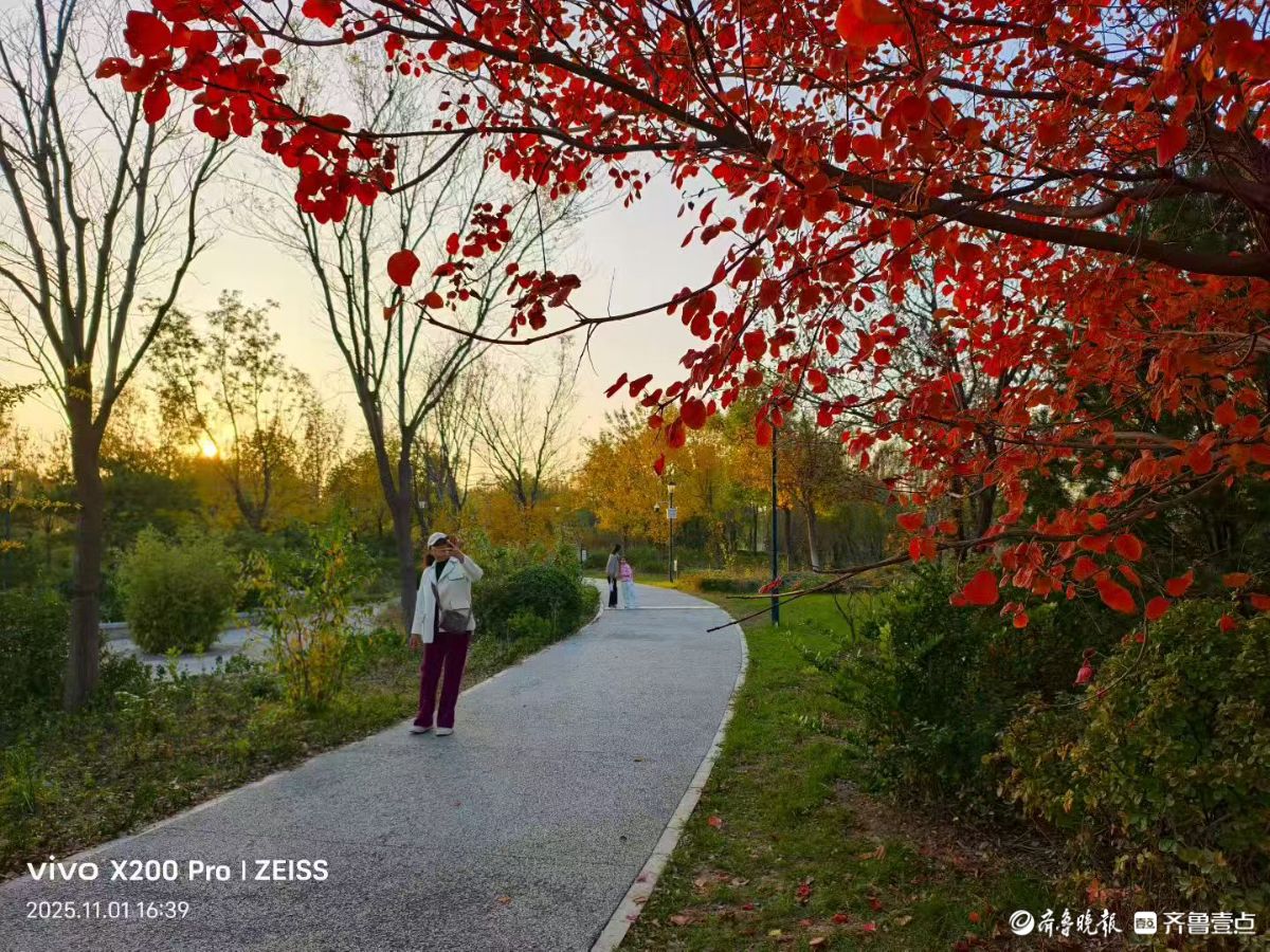 行摄华山——鹊华秋色