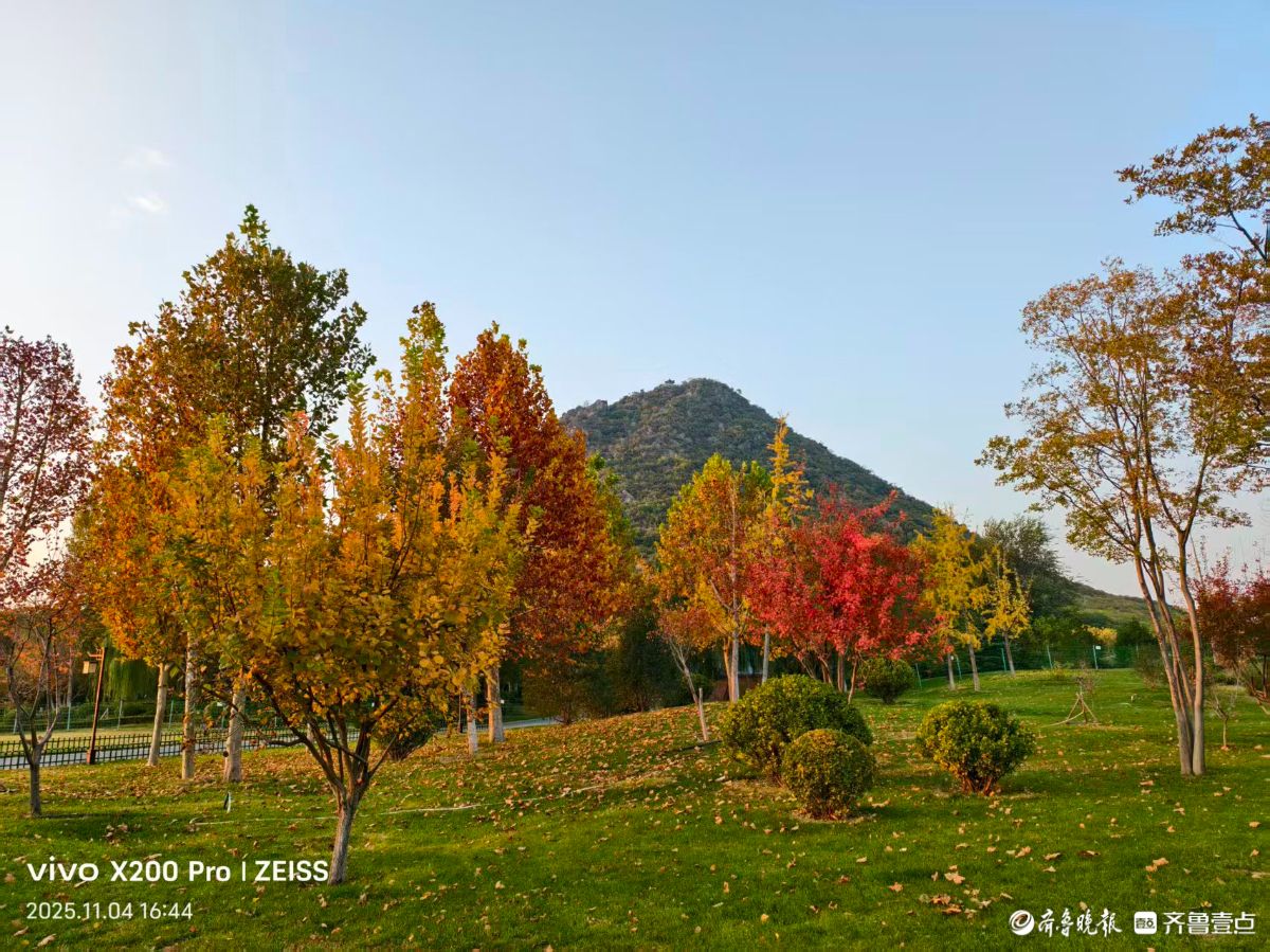 行摄华山——鹊华秋色