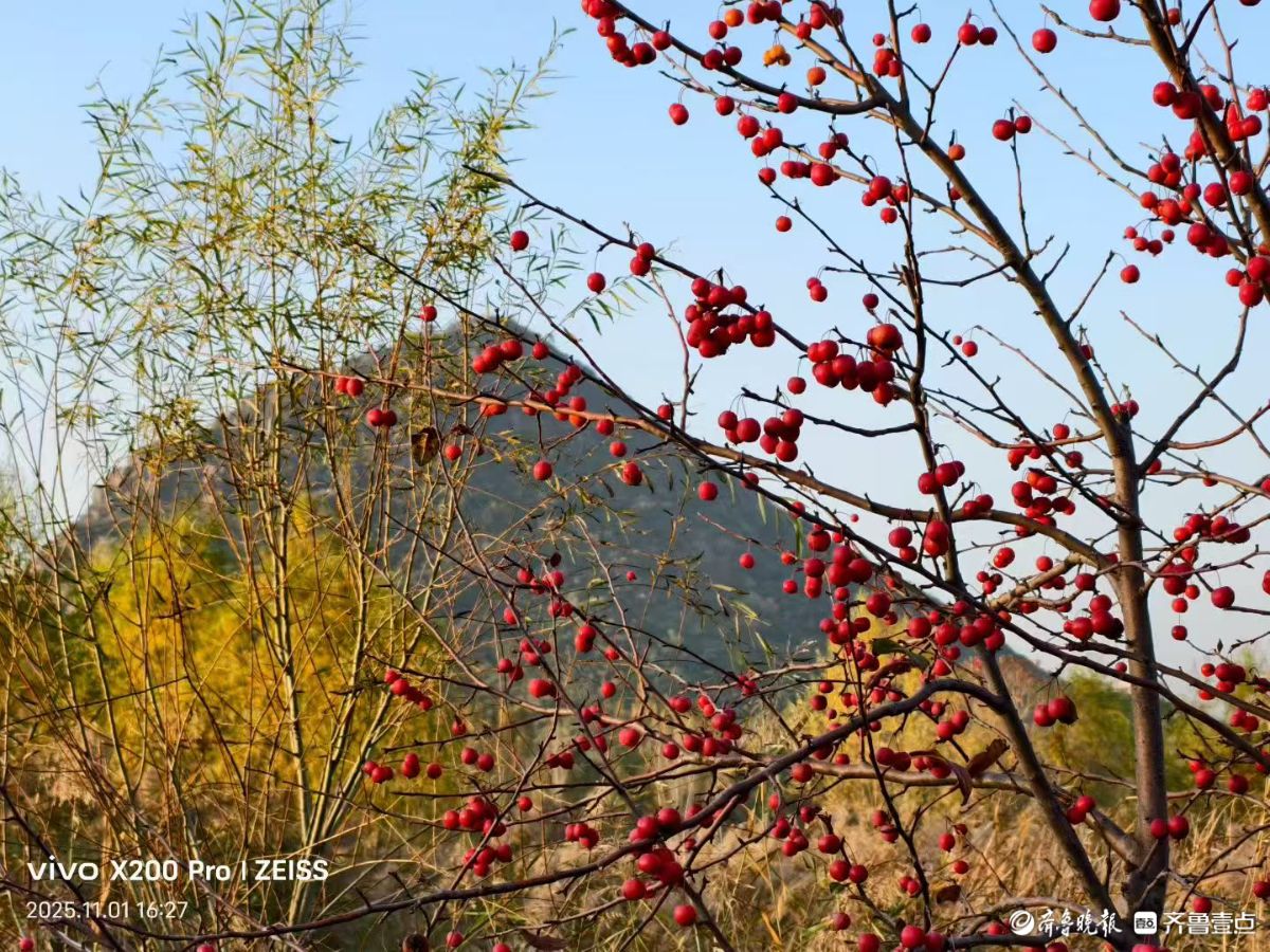 行摄华山——鹊华秋色