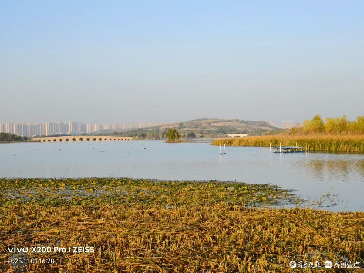 行摄华山——鹊华秋色