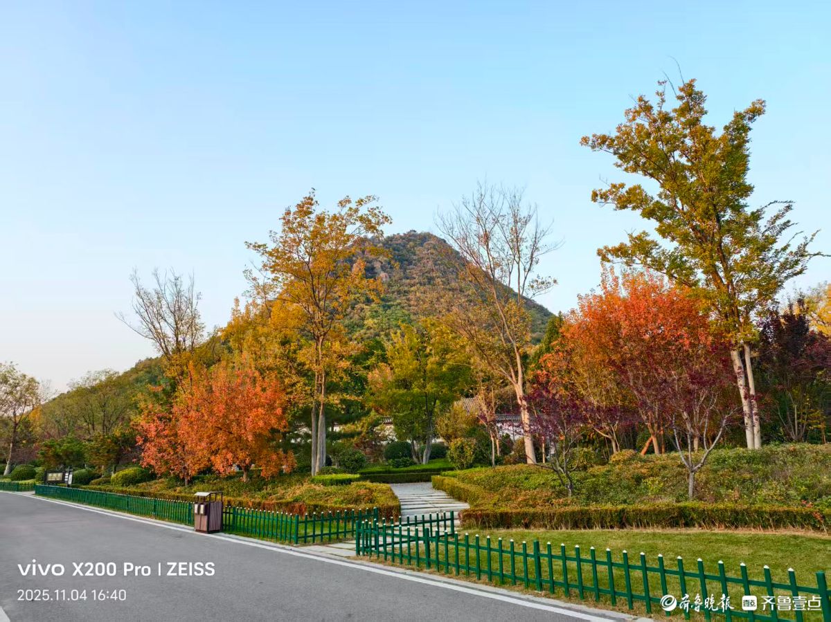 行摄华山——鹊华秋色