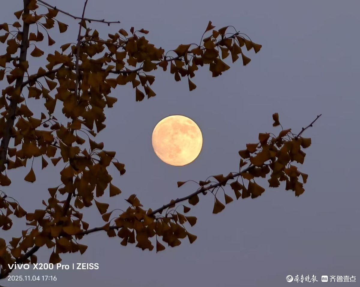 行摄华山——农历九月十五的月亮