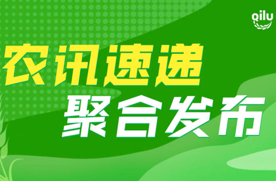 烟台市加快打造中国北方海洋种业繁育基地，助力海上山东建设——突破渔业芯片 重绘海鲜地图
