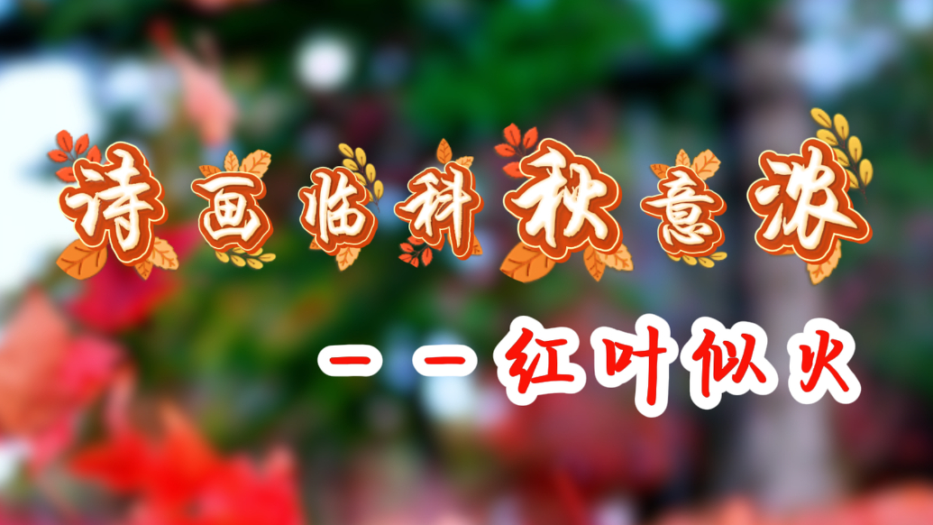 果然视频丨诗画临科秋意浓之红叶似火